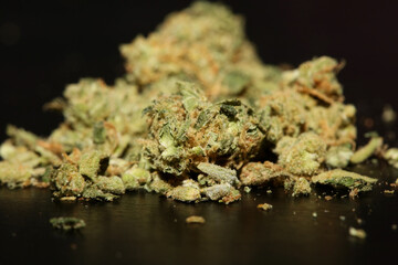 Cannabis medical marihuana super purple haze botanical background big size high quality print