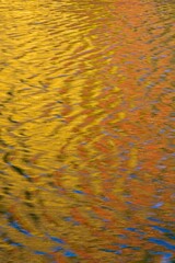 Fall foliage reflecting off shimmering pond surface