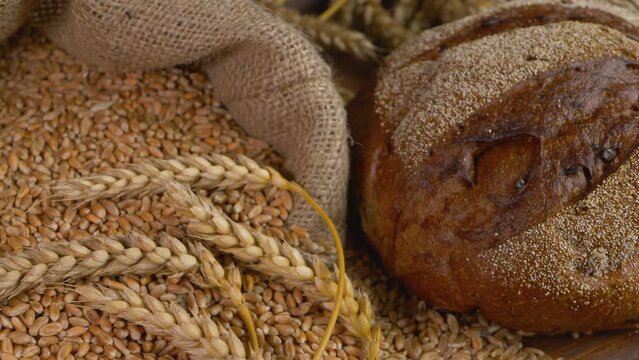 Baked bread from whole wheat flour on wooden background. Wholemeal bread. Heap of ripe raw grain, rural scene. Organic farming, dry vegetable. Ears of grain stem of cereal wheat plant