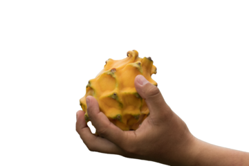 Pitahaya or dragon fruit is grown organically in the Peruvian jungle, specifically in the Alto Mayo area, this fruit is appreciated worldwide for its properties and excellent flavor.