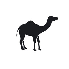 black camel element  icon vector illustration design template