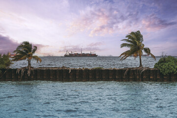 View from the shore of a huge cargo ship with many freight containers on it in the defocused background with a selective focus on two small palms on the breakwater or a pier in the foreground