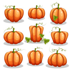 Set of Halloween pumpkins isolated on white background.