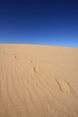 Footprints in sand dunes