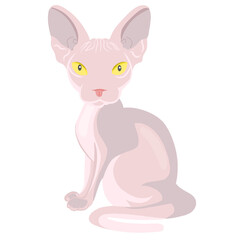 Illustration of cute cat animal