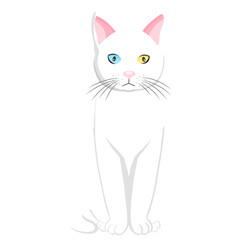 Illustration of cute cat animal