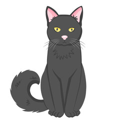 Illustration of cute cat animal