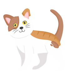 Illustration of cute cat animal
