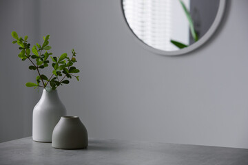 Home decoration with vase of green plant and ceramics. Idea decor home, lifestyle