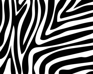 vector zebra skin pattern texture.