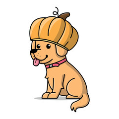 A GOLDEN RETRIEVER IS WEARING A PUMPKIN ON HIS HEAD