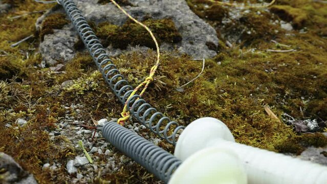 Some metal springs on the top of the lychens on the forest ground in Estonia
