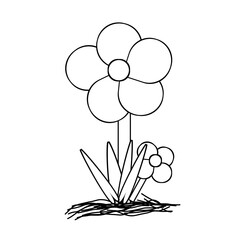 flowers and leaves illustration