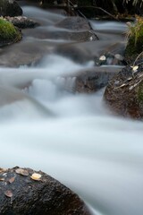 silky stream in the forest