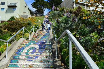 Panoramic view of the 16th Avenue Tiled Steps, AKA Moraga Steps in San Francisco, CA