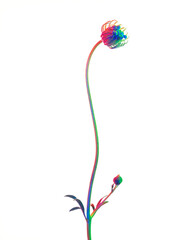 カラフルな虹色の植物・母の日・バレンタインデー・贈り物