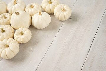 White mini pumpkins on a wooden background. Thanksgiving sweet harvest with copy space.