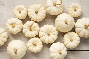 White mini pumpkins on a wooden background. Thanksgiving sweet harvest.