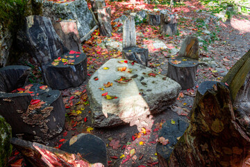 chairs around a stone in the forest