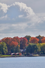 Fototapeta premium Fall trees turning vivid color on a river shoreline with big fluffy clouds in a bright blue sky