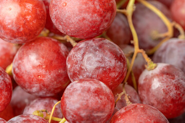 Harvest of ripe, juicy, red grapes with large berries close-up