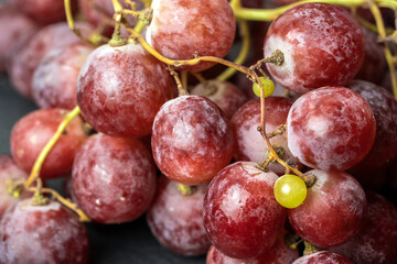 Harvest of ripe, juicy, red grapes with large berries close-up