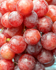 Harvest of ripe, juicy, red grapes with large berries close-up
