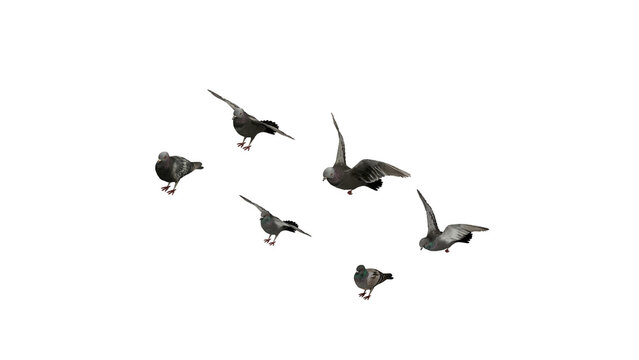 Laterale Bilder Durchsuchen 95,516 Archivfotos, und