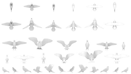 3D High Poly Birds - SET1 Monochromatic - Parallel Views