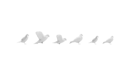 3D High Poly Birds - SET1 Monochromatic - Right View