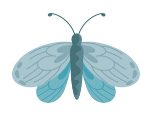 Flat Butterfly vector icon