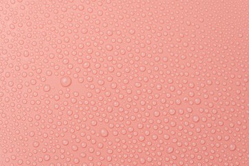 Water drops on a pink background close-up