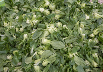 green vegetable background image. Pak Choi image. 