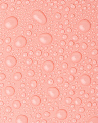 Water drops on a pink background close-up