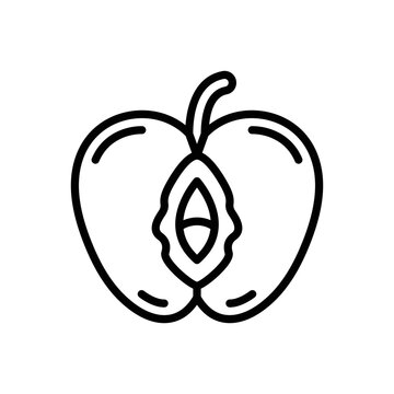 Black line icon for cunt