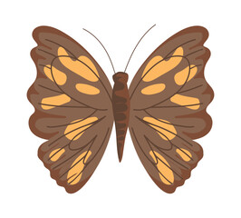 Flat brown Butterfly