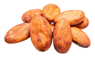 Roasted Cocoa beans on white background, Roasted Cocoa beans on white PNG File.