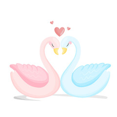 Two swans couple in love in valentine day