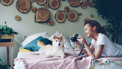 Young female photographer is shooting beautiful pet dog lying on bed and watching pictures on...