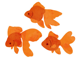 水彩風の横から見た赤色の金魚