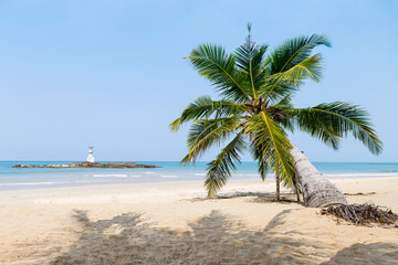 Coconut tree on tropical beach background, clean sandy beach with blue sea background, summer outdoor day light