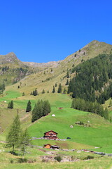 Villgraten alpine mountain landscape with traditional alm houses near to Sillian in Innervillgraten, Oberstalleralm