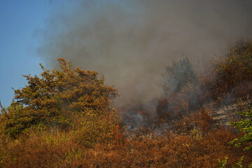 Fires in mountainous areas. Ignition of dry grass, shrubs and trees.