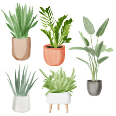 Watercolor sets of home plants in pots.