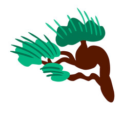 aesthetic tree branch