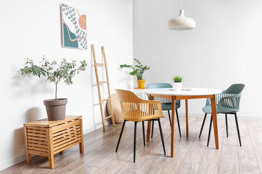 Stylish interior of dining room with modern furniture and houseplants near white wall