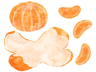 皮がむけているみかんのイラスト　手描き　水彩風