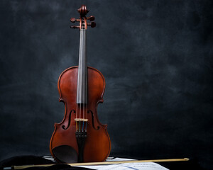 Full size violin 2