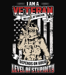 Veteran t shirt design with USA grunge flag, American Army - I am a Veteran my level of t shirt