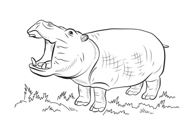 An image of an African hippo. Black and white drawing, coloring book for children. Vector drawing.